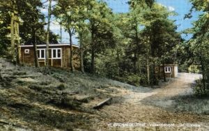 Het bungalowpark aan de Biesdeel in 1965. foto collectie gemeente Deurne