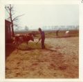 Marinus op de boerderij, jaren '70.]]